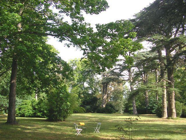 Chateau De Saint Michel De Lanes Екстер'єр фото